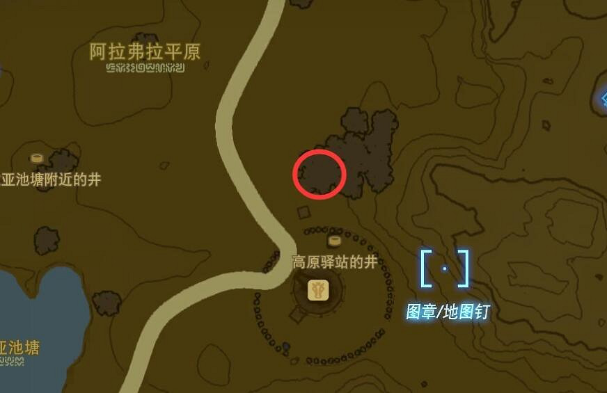 《塞爾達傳說王國之淚》靜靜螢火蟲在哪裡抓？靜靜螢火蟲位置