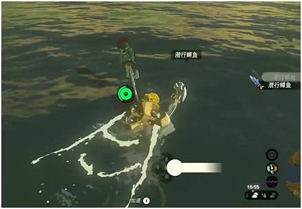 《塞爾達傳說王國之淚》潛行鱒魚獲得方法介紹