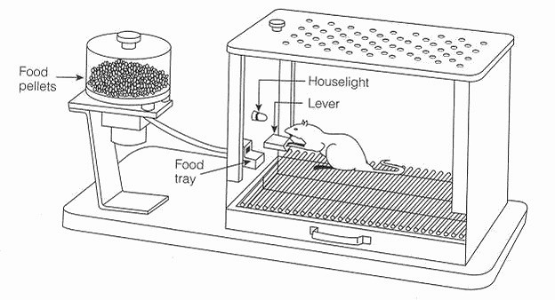 憑什麽放置類遊戲能靠“簡單”殺出重圍？