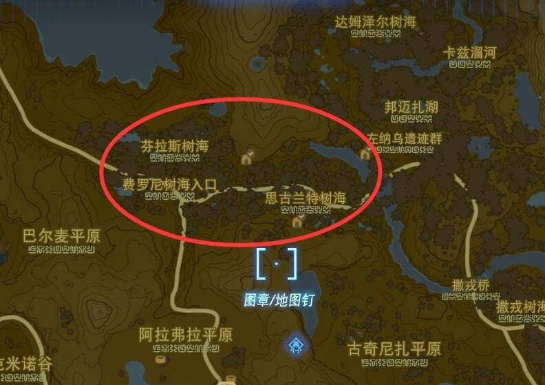 《塞爾達傳說王國之淚》靜靜螢火蟲在哪裡抓？靜靜螢火蟲位置