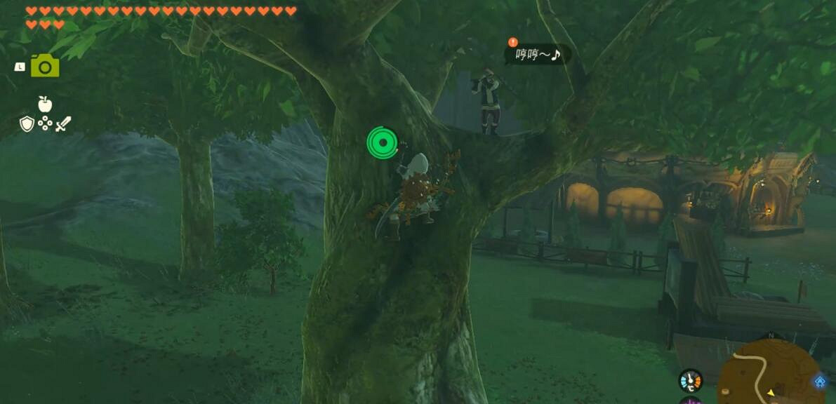 《塞爾達傳說王國之淚》靜靜螢火蟲在哪裡抓？靜靜螢火蟲位置