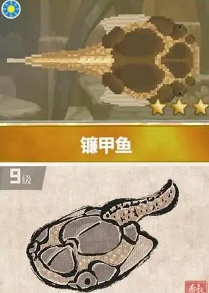 《潛水員戴夫》鐮甲魚在哪抓？鐮甲魚位置分享