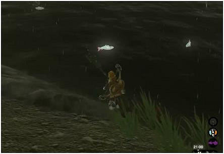 《塞爾達傳說王國之淚》潛行鱒魚獲得方法介紹