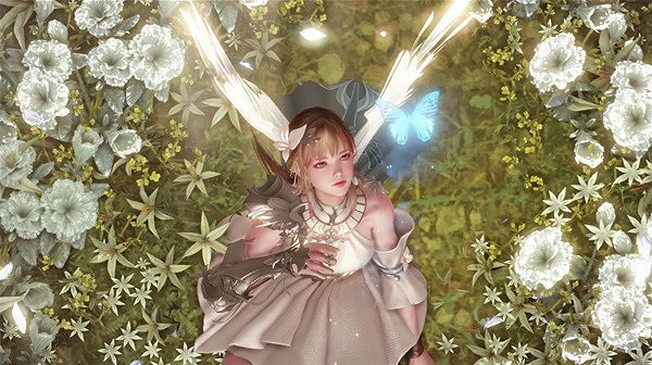 《命運方舟》妮娜芙位置分享 妮娜芙在哪? 《命運方舟》妮娜芙位置分享 妮娜芙在哪?