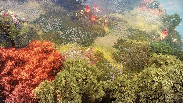 《命運方舟》妮娜芙位置分享 妮娜芙在哪? 《命運方舟》妮娜芙位置分享 妮娜芙在哪?