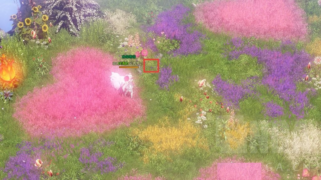 《命運方舟》利貝海姆的玫瑰在哪？ 利貝海姆的玫瑰位置