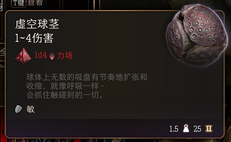 《柏德之門3》虛空球莖有什麽用？虛空球莖作用介紹