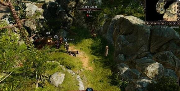 《柏德之門3》找到德魯伊任務怎麽做？找到德魯伊任務攻略