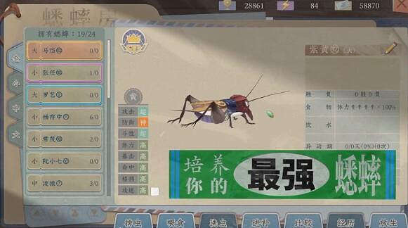 《沉默的蟋蟀》繡花針值得培養嗎？繡花針特點介紹