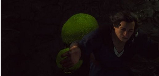 《柏德之門3》蘑菇獵人任務怎麽做？蘑菇獵人任務攻略