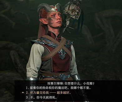 《柏德之門3》埃塞爾奶奶抉擇推薦 《柏德之門3》埃塞爾奶奶抉擇推薦