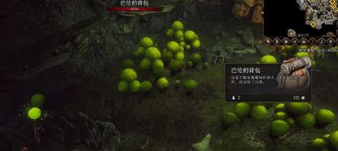 《柏德之門3》狩獵蘑菇獵人任務攻略