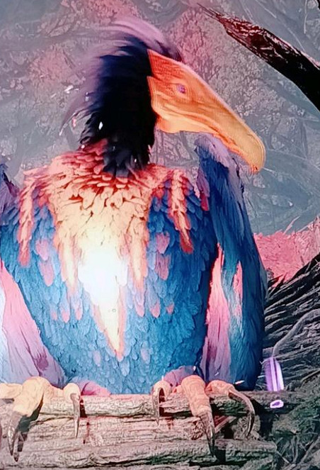 《遺跡2》大鳥離開方法 大鳥怎麽離開？