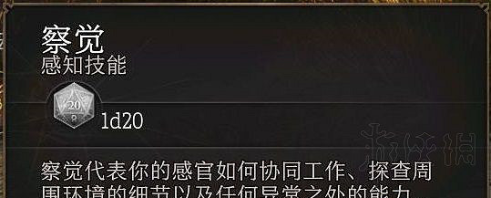 《柏德之門3》角色出生影響因素介紹     出身有什麽影響？