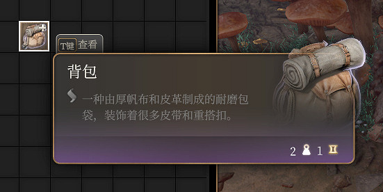 《柏德之門3》背包整理攻略 背包物品怎麽管理？