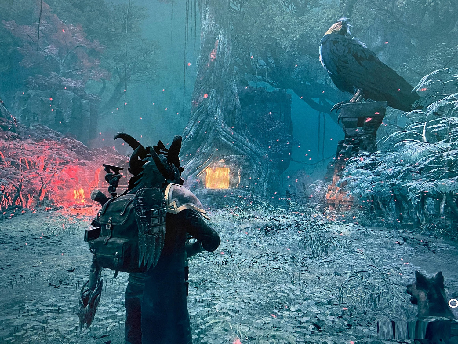 《遺跡2》大鳥離開方法 大鳥怎麽離開？