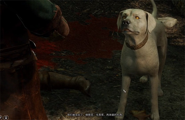 《柏德之門3》染疫村落正確做法攻略