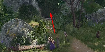 《柏德之門3》自然陷阱怎麽獲得？自然陷阱獲得攻略