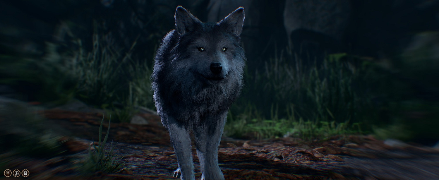 《柏德之門3》弓箭手怎麽搭配？弓箭手bd搭配心得