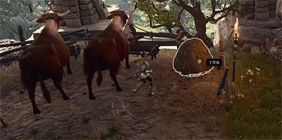 《柏德之門3》動物談話藥水怎麽獲得？動物談話藥水獲取攻略