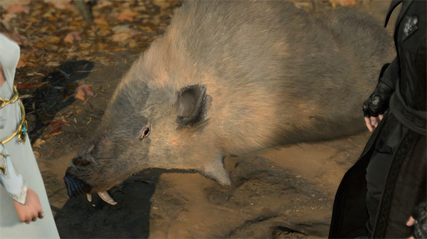 《柏德之門3》解鎖吸血方法