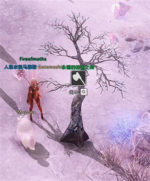 《命運方舟》新世界樹之葉怎麽獲得?新世界樹之葉獲取攻略 《命運方舟》新世界樹之葉怎麽獲得?新世界樹之葉獲取攻略