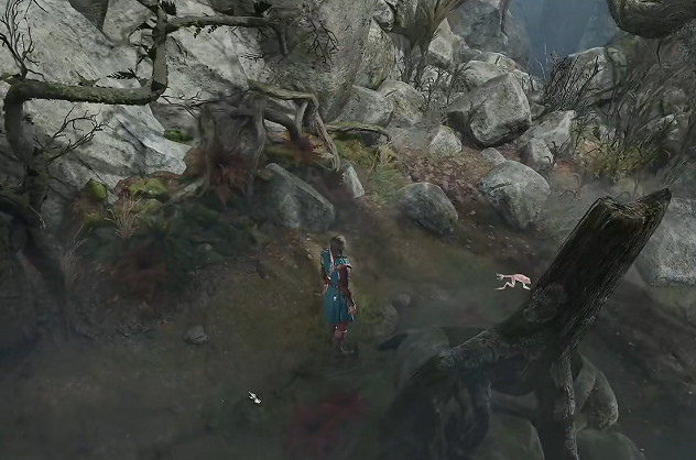 《柏德之門3》混亂青蛙獎勵獲得方法