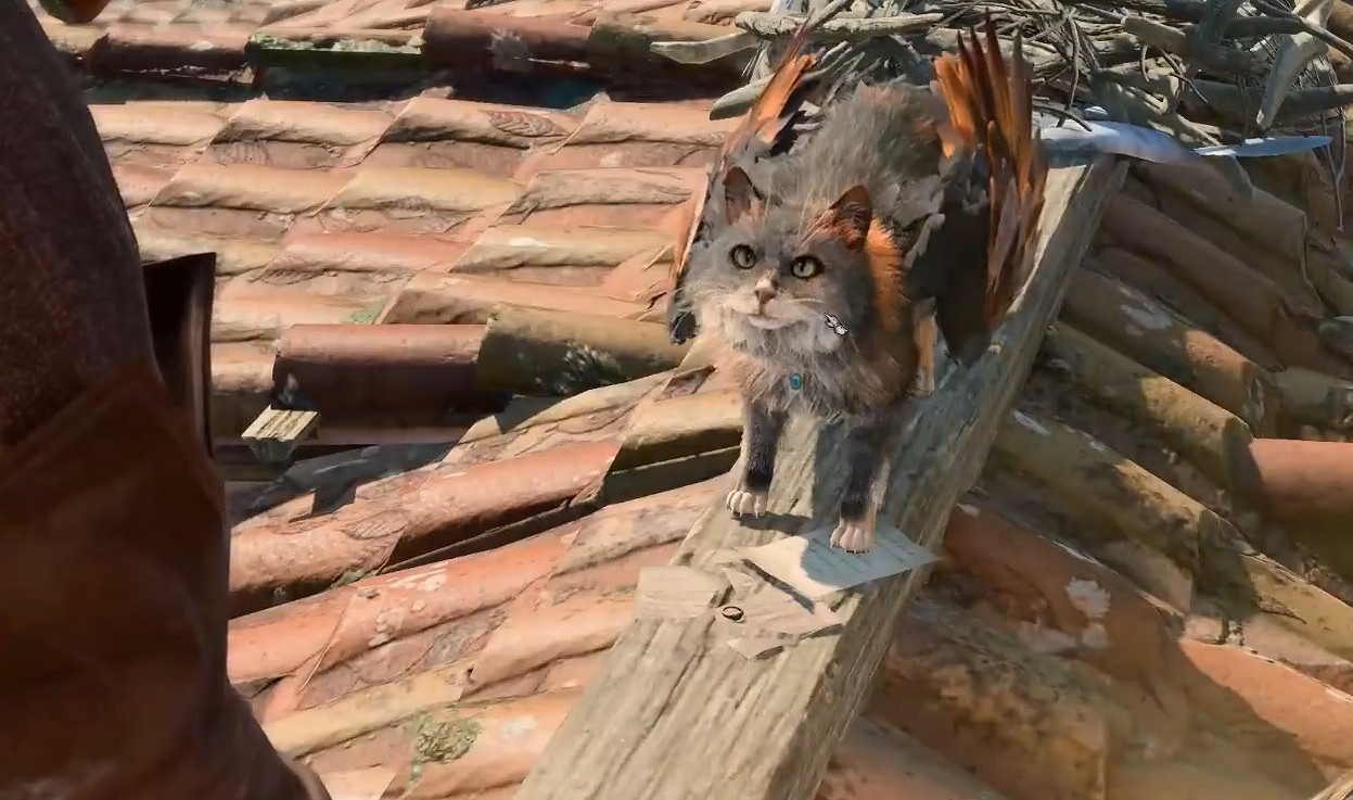 《柏德之門3》閃爍之戒獲得方法 《柏德之門3》閃爍之戒獲得方法