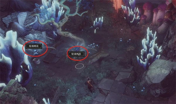 《柏德之門3》荒廢的塔獎勵介紹