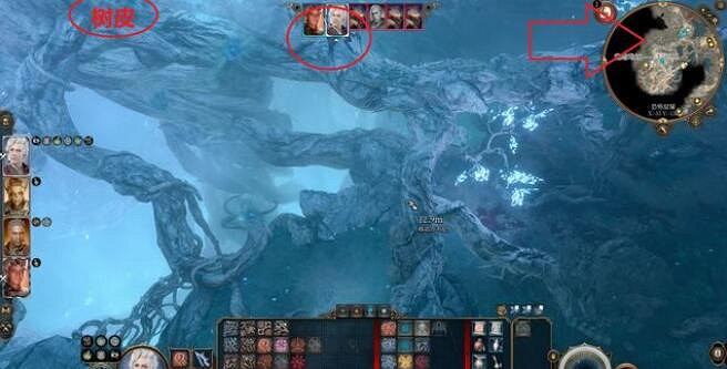 《柏德之門3》輕語樹皮怎麽拿？輕語樹皮任務攻略