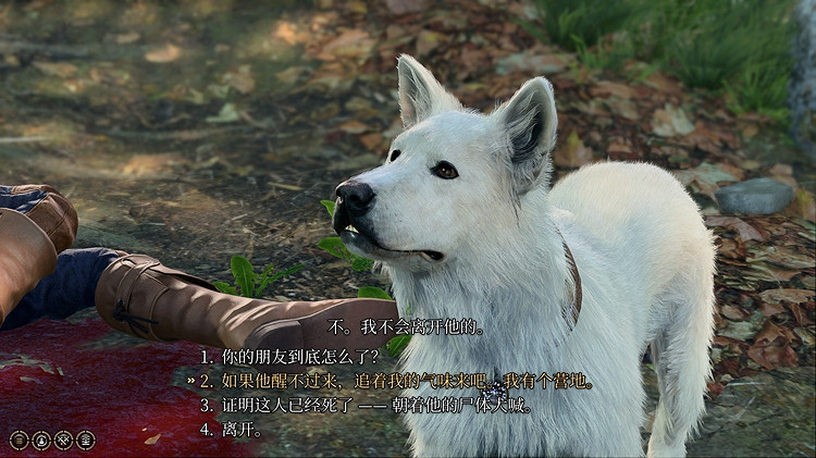 《柏德之門3》快樂的撓撓成就攻略 快樂的撓撓成就怎麽做? 《柏德之門3》快樂的撓撓成就攻略 快樂的撓撓成就怎麽做?