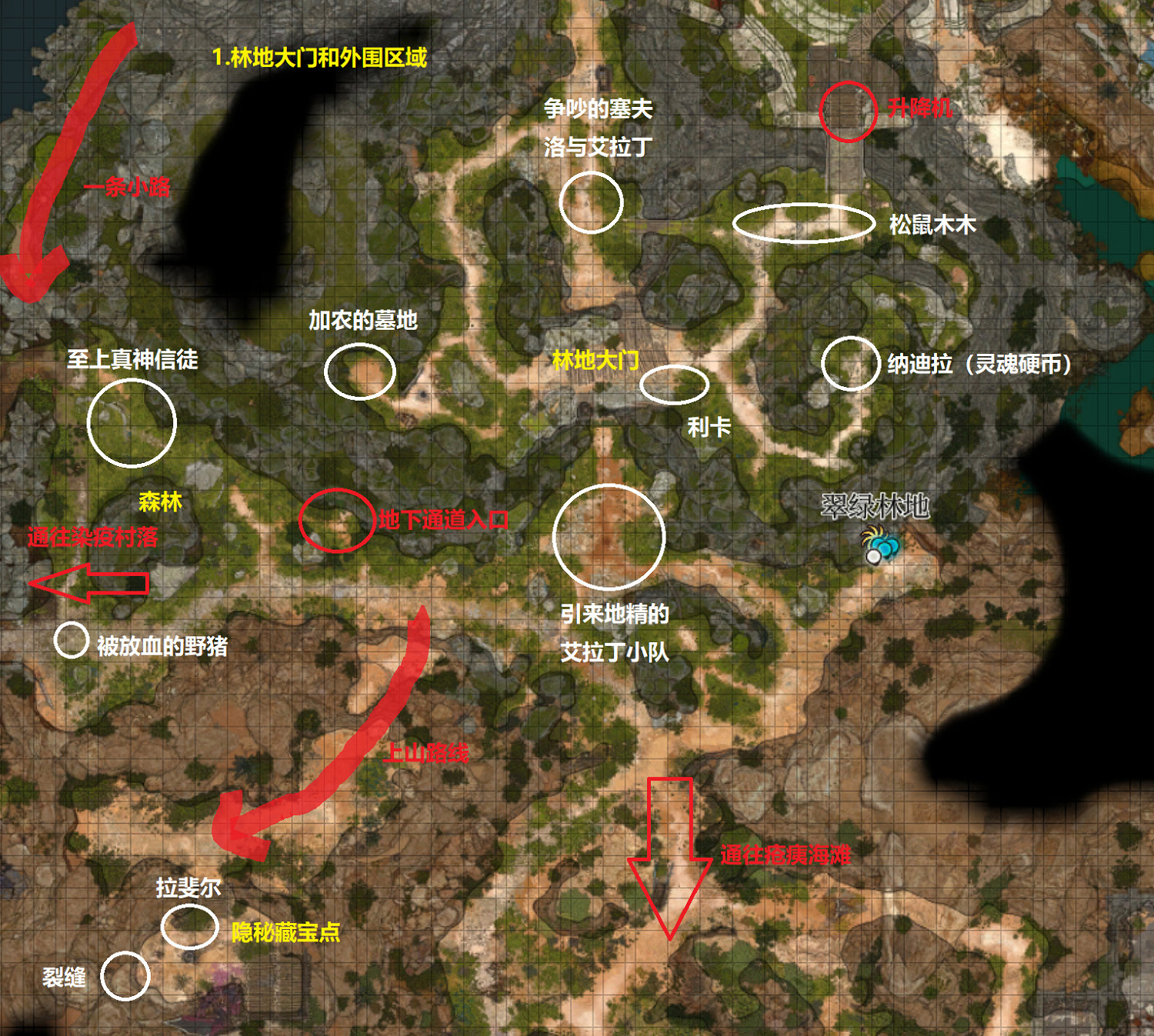 《柏德之門3》翠綠林地地下通道在哪?翠綠林地外圍探索要點 《柏德之門3》翠綠林地地下通道在哪?翠綠林地外圍探索要點