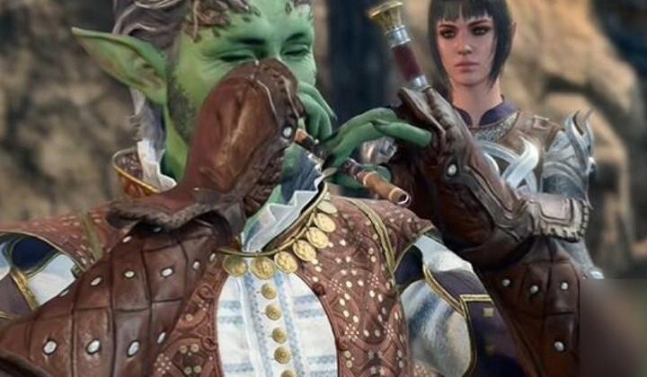 《柏德之門3》德魯伊林地偷竊小技巧