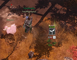 《命運方舟》新世界樹之葉怎麽獲得?新世界樹之葉獲取攻略 《命運方舟》新世界樹之葉怎麽獲得?新世界樹之葉獲取攻略