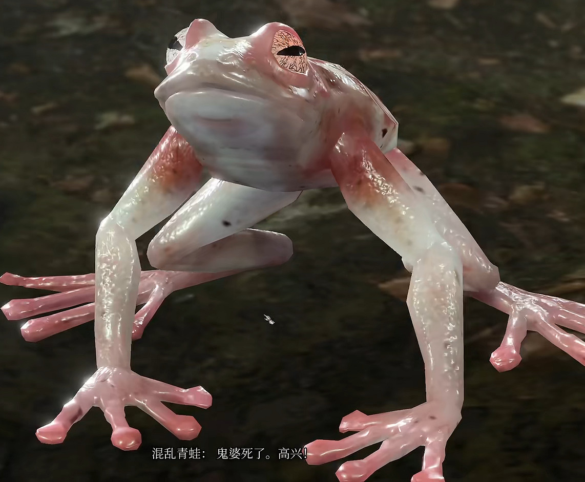 《柏德之門3》混亂青蛙獎勵獲得方法