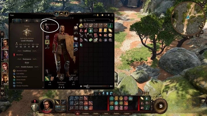 《柏德之門3》隱藏頭盔及裝備介紹 怎麽隱藏頭盔? 《柏德之門3》隱藏頭盔及裝備介紹 怎麽隱藏頭盔?