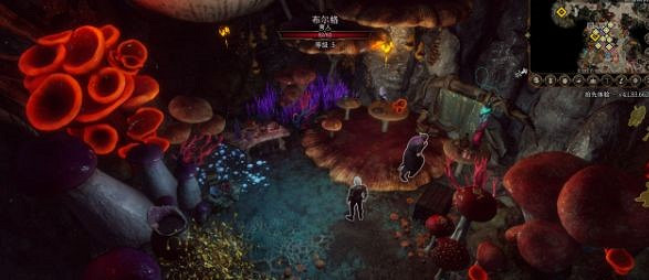 《柏德之門3》主線任務光耀會怎麽做？光耀會任務圖文流程