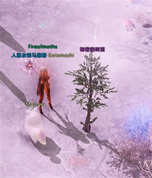 《命運方舟》新世界樹之葉怎麽獲得?新世界樹之葉獲取攻略 《命運方舟》新世界樹之葉怎麽獲得?新世界樹之葉獲取攻略