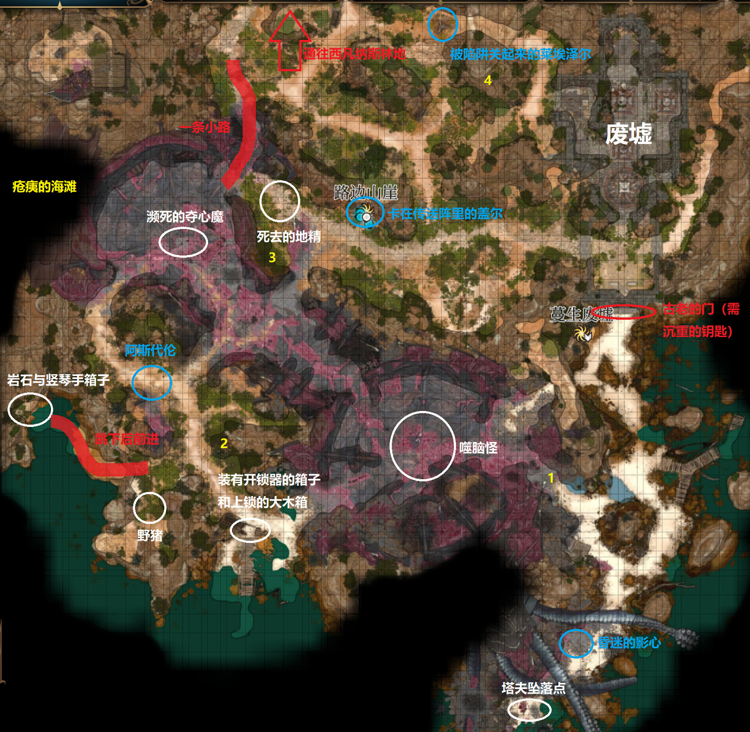 《柏德之門3》被毀的海灘探索攻略 被毀的海灘任務有哪些 《柏德之門3》被毀的海灘探索攻略 被毀的海灘任務有哪些