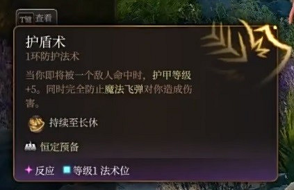 《柏德之門3》聖武士各流派開荒bd推薦 聖武士各流派開荒bd分享 《柏德之門3》聖武士各流派開荒bd推薦 聖武士各流派開荒bd分享