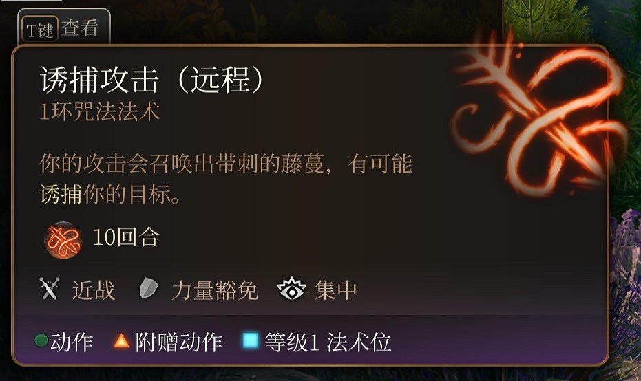 《柏德之門3》一環法術推薦 一環法術選哪個好？