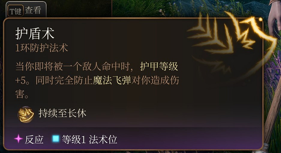 《柏德之門3》一環法術推薦 一環法術選哪個好？