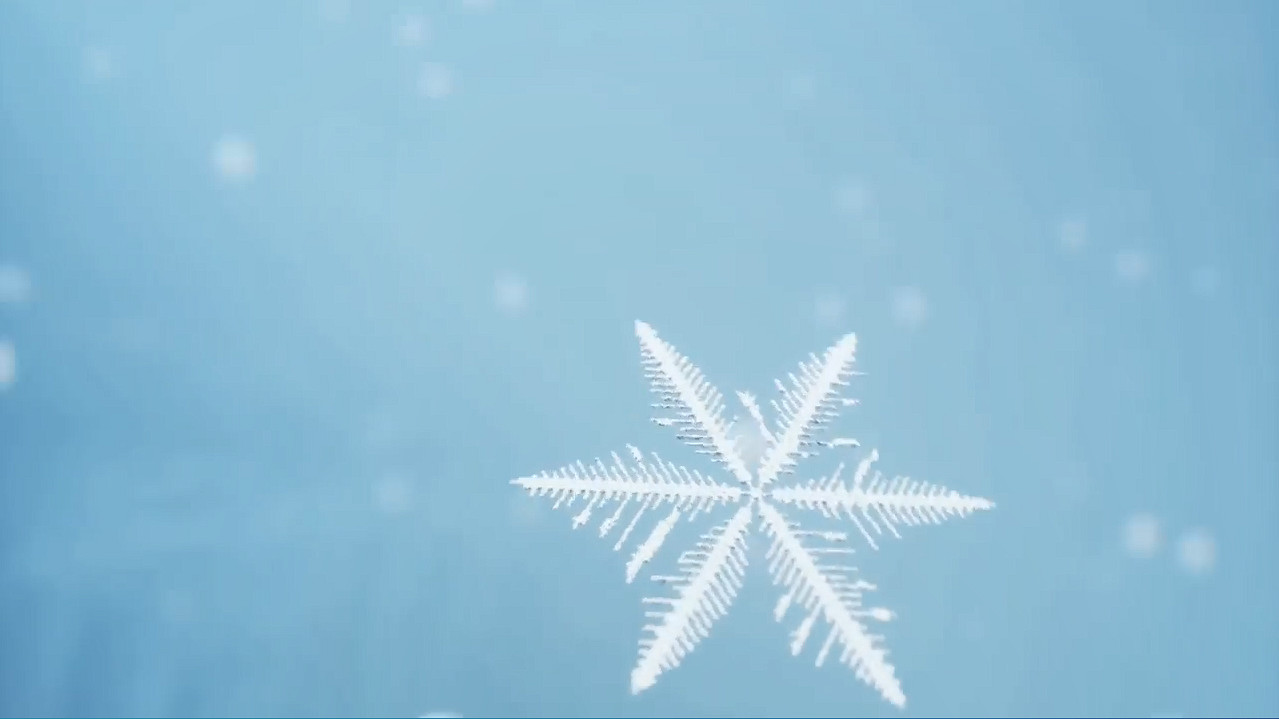 快樂打雪仗！《南方公園：雪假》 2024年正式發售