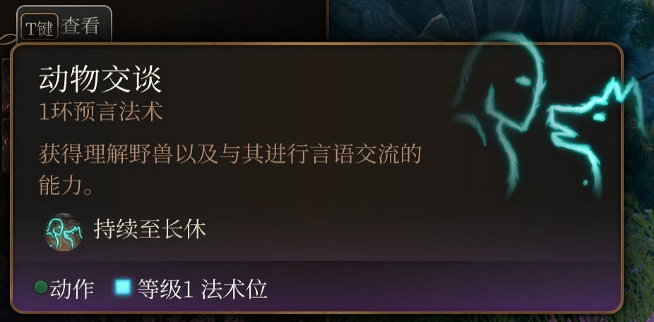 《柏德之門3》一環法術推薦 一環法術選哪個好？