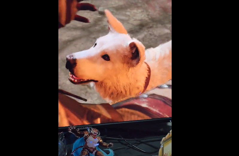 玩家在《柏德之門3》裡擼狗 自家狗狗看到後不開心了 玩家在《柏德之門3》裡擼狗 自家狗狗看到後不開心了