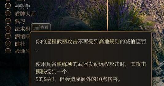 《柏德之門3》盜賊武器配裝推薦 盜賊雙手弩射爆流bd分享