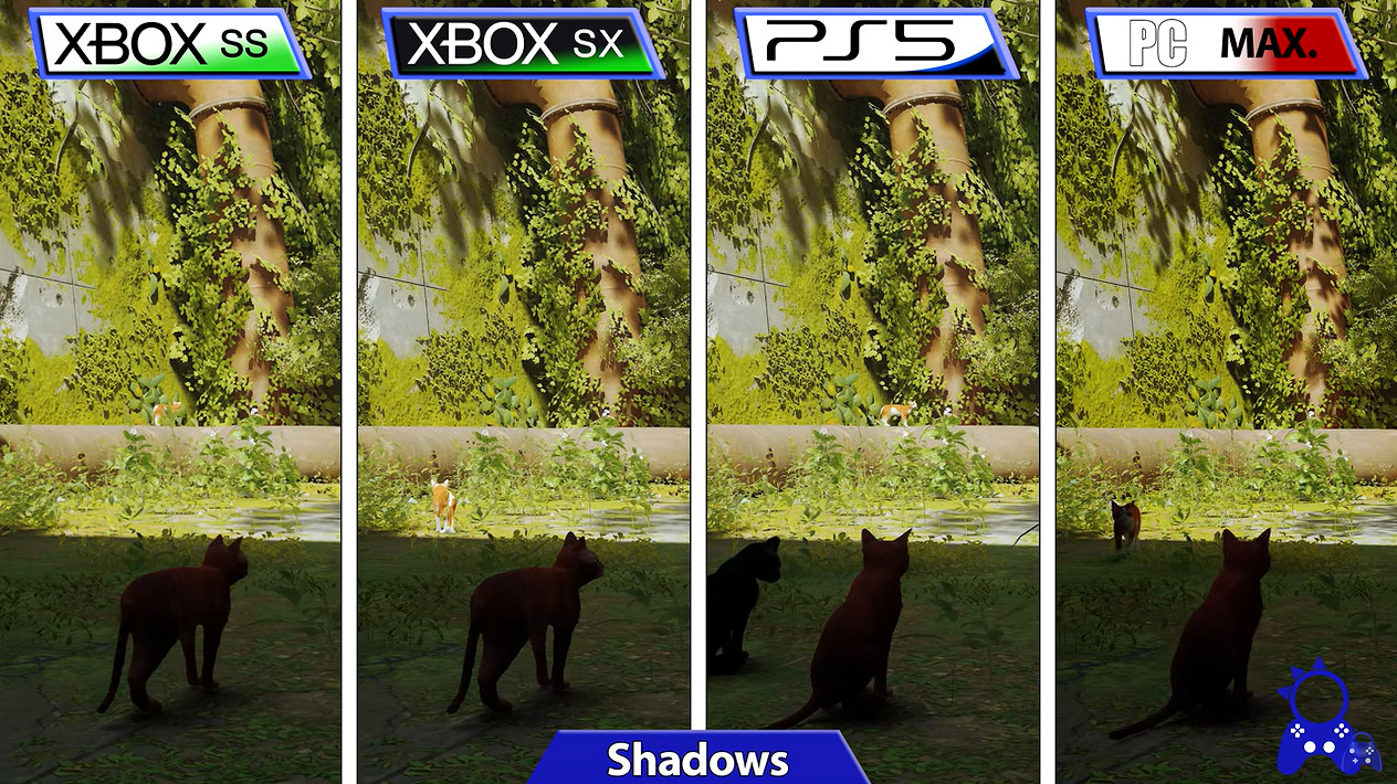 貓貓冒險解謎遊戲《Stray》各平台對比 全平台優化好！