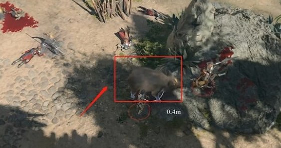 《柏德之門3》抓寵物方法介紹 《柏德之門3》抓寵物方法介紹