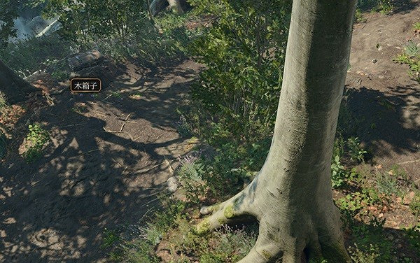 《柏德之門3》躍動指套獲取教學 躍動指套怎麽獲得? 《柏德之門3》躍動指套獲取教學 躍動指套怎麽獲得?