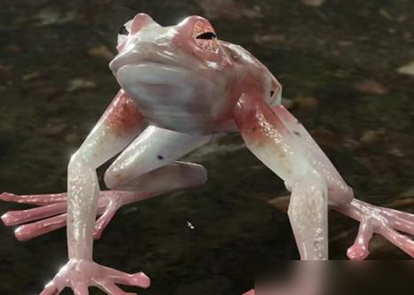 《柏德之門3》混沌蛙獎勵怎麽獲得？ 混沌蛙獎勵獲取攻略